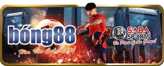 Trận đấu bóng đá đỉnh cao tại sic88, với các giải đấu lớn như World Cup